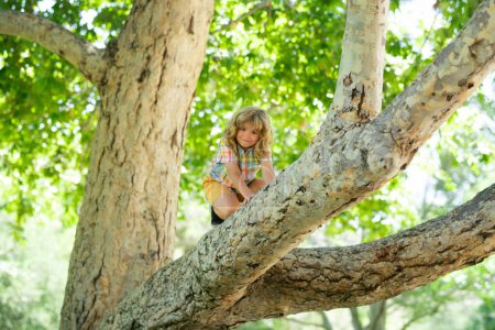 Téléchargez les photos : Un enfant étreignant une branche d'arbre. Petit garçon sur une branche d'arbre. Un gamin grimpe à un arbre. Enfant actif jouant à l'extérieur - en image libre de droit