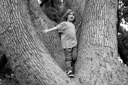 Téléchargez les photos : Enfants enfant jouant grimper à un arbre dans un parc en plein air - en image libre de droit