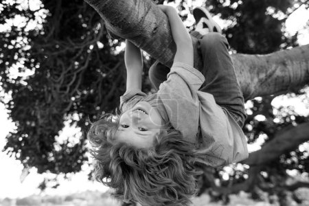 Téléchargez les photos : Les enfants grimpent aux arbres, pendus à l'envers sur un arbre dans un parc. Protection de l'enfance - en image libre de droit