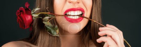 Téléchargez les photos : Femme drôle tenant rose rouge avec des dents sur fond noir isolé. Jour d'anniversaire - en image libre de droit