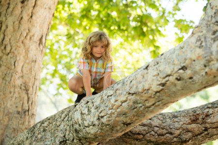 Photo for Kid climbing on a tree branch. Child climbs a tree - Royalty Free Image