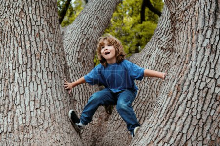 Téléchargez les photos : Petit garçon mignon, grimper à l'arbre dans la nature. Enfants jouant en plein air - en image libre de droit