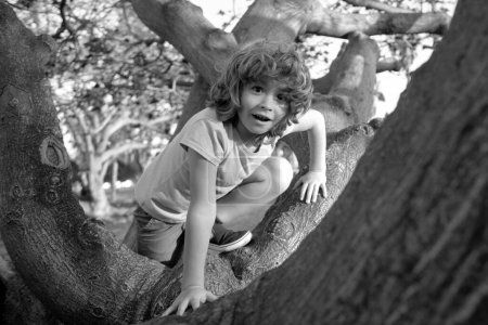 Téléchargez les photos : Enfant jouant sur une branche d'arbre - en image libre de droit