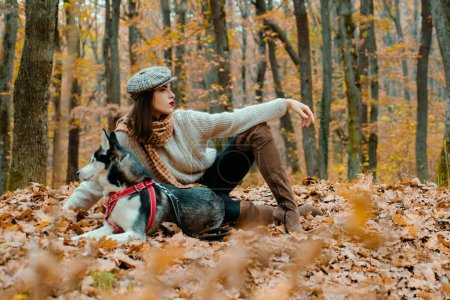 Foto de Otoño Chica caminando con perro husky bosque de otoño. Entrenamiento animal. El mejor amigo. Otoño Chica disfrutar de paseo con perro husky. Paseando a un perro en el bosque de otoño - Imagen libre de derechos