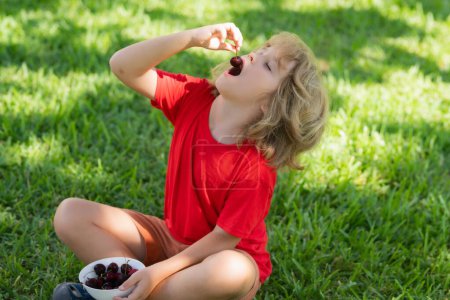 Photo for Kid sit on grass and eat cherry. Child eat cherries in the summer. Kid is picking cherries in the garden - Royalty Free Image