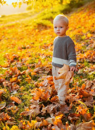 Téléchargez les photos : Bébé garçon blond rêveur s'amusant à jouer avec les feuilles tombées dans le parc d'automne. Mignon petit bébé dans le parc d'automne avec des feuilles jaunes. Joyeux famille qui repose dehors. Temps libre automnal - en image libre de droit