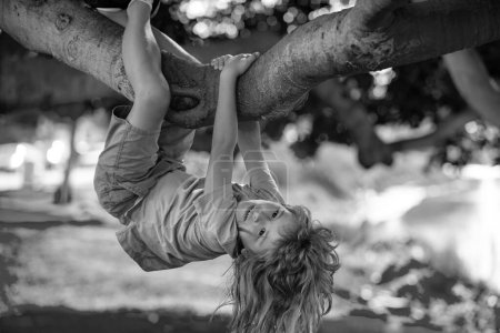 Téléchargez les photos : Enfant sur une branche d'arbre. Escalade d'enfants dans le parc d'activités aventure. Les assurances. Petit garçon confronté à un défi en essayant de grimper à un arbre. À l'envers. Concept d'enfance - en image libre de droit