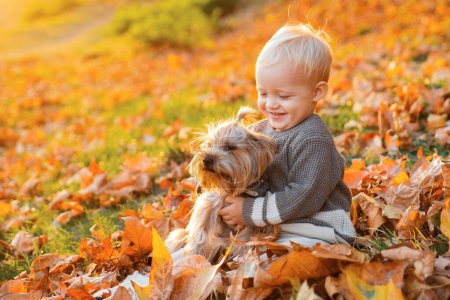 Foto de Una simple felicidad. Niño jugar con yorkshire terrier perro. Niño pequeño disfrutar de otoño con amigo perro. Pequeño bebé pequeño en el día soleado de otoño paseo con perro. Feliz infancia. Dulces recuerdos de infancia
. - Imagen libre de derechos