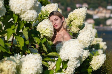 Foto de Mujer sensual en el arbusto floreciente de flores de hortensias en el jardín de primavera. Hortensias arbustos flores. Mujer cerca de una hortensia floreciente en un jardín - Imagen libre de derechos