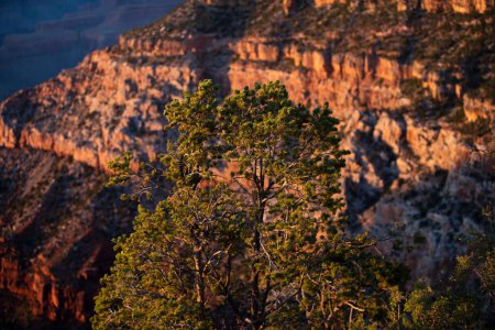 Téléchargez les photos : Paysage rocheux du canyon. Monument valley. Vue panoramique. Parc national du Canyon - en image libre de droit