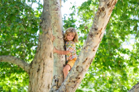 Foto de Kid boy playing and climbing a tree and hanging branch - Imagen libre de derechos