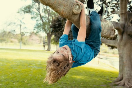 Téléchargez les photos : Petit enfant drôle grimpant à l'arbre dans le parc. - en image libre de droit