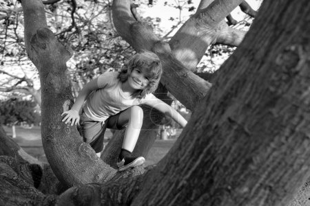 Téléchargez les photos : Un jeune garçon grimpe un arbre. Enfant reposant sur une branche - en image libre de droit