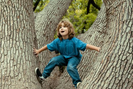 Téléchargez les photos : Mignon petit garçon appréciant grimper sur l'arbre le jour de l'été. Enfant mignon apprenant à grimper, s'amuser en forêt ou se garer par une chaude journée ensoleillée. Temps heureux dans la nature - en image libre de droit