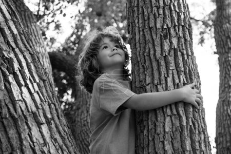 Téléchargez les photos : Un jeune garçon étreignant une branche d'arbre. Petit garçon sur une branche d'arbre. Un enfant grimpe un arbre - en image libre de droit