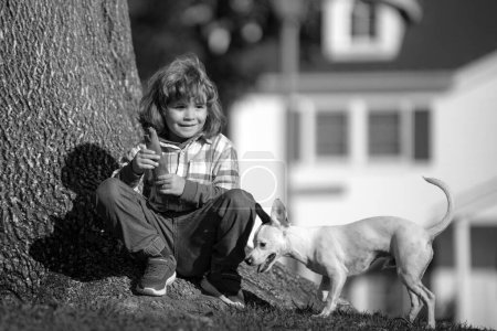 Foto de Niño pequeño con perro paseando en el césped de verano al aire libre - Imagen libre de derechos