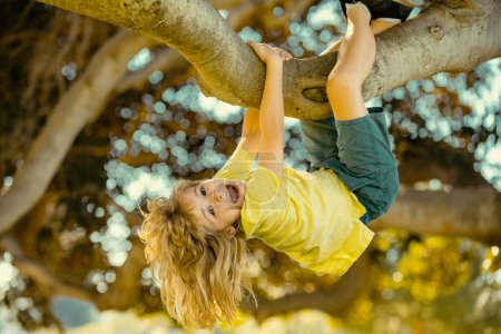 Photo for Cute little kid boy enjoying climbing on tree on summer day. Kids climbing trees, hanging upside down on a tree in a park. Children love nature on countryside - Royalty Free Image