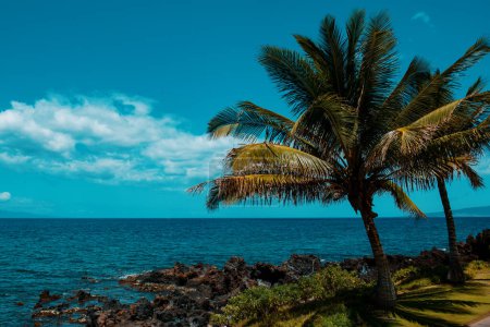Photo for Landscape tranquil beach. Hawaii background, tropical Hawaiian paradise with palm - Royalty Free Image