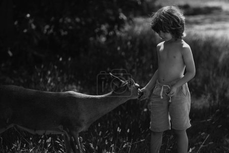 Foto de Niño alimentando ciervo cervatillo al aire libre. Un niño bonito con un bebé en el parque. Adaptación infantil - Imagen libre de derechos