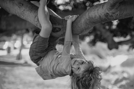 Téléchargez les photos : Mignon garçon blond enfant accroché sur une branche d'arbre. Vacances d'été, petit garçon grimpant à un arbre. À l'envers. Garçon grimpe l'arbre dans le parc d'été - en image libre de droit