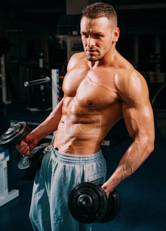 Photo for Athletic men exercise with weights dumbbells. Sporty lifestyle. Gym workouts. Attractive sports - Royalty Free Image