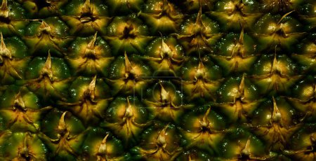 Téléchargez les photos : Pineapple skin close up. Pineapple pattern. Pineapple bark - en image libre de droit