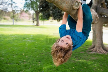 Téléchargez les photos : Petit garçon sur une branche d'arbre. Un enfant grimpe un arbre - en image libre de droit