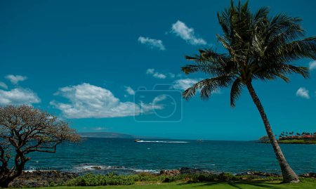Foto de Fondo de playa hawaiano. Disfrutando del paraíso en Hawaii. Panorama de paisaje tropical de verano con palmeras. Vacaciones de lujo. Exótico paisaje de playa. Increíble naturaleza, relajarse en la naturaleza - Imagen libre de derechos