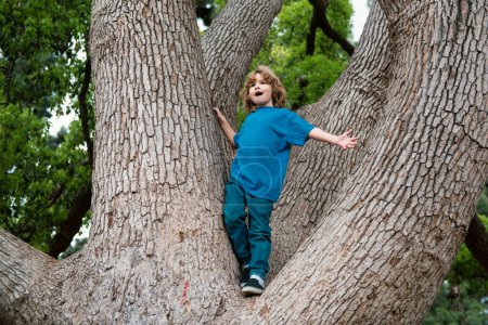 Foto de Un chico trepando a un árbol. Niño rubio disfrutando trepar al árbol. Niños pequeños aprendiendo a escalar, divirtiéndose en el jardín de primavera, al aire libre - Imagen libre de derechos