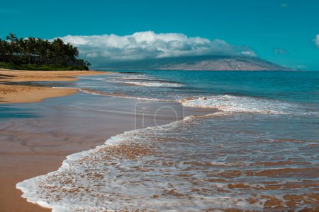 Photo for Nature landscape in Hawaii, tropical beach with palm tree in crystal clear sea - Royalty Free Image