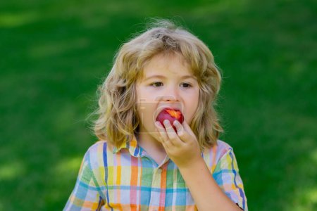 Photo for Summer cute kid face. Kid boy eats plum. Excited face. Strawberry for kids. Amazed expression, cheerful and glad - Royalty Free Image