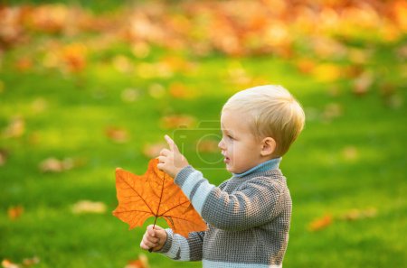 Téléchargez les photos : Adorables enfants d'automne avec des feuilles dans le parc de beauté. Enfant en bas âge dans le parc d'automne - en image libre de droit