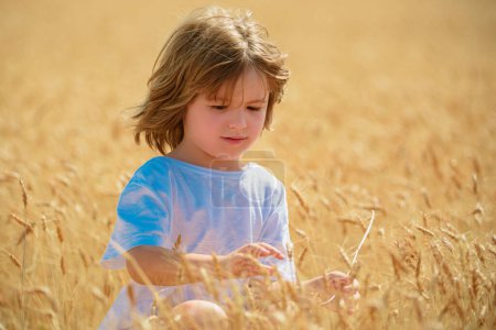 Photo for Kid at wheat field with harvest grain. Wheat is a cereal plant. Kid portrait on farmland. Happy little farmer having fun on summer field. American farm life. Summertime for kids on the ranch. - Royalty Free Image