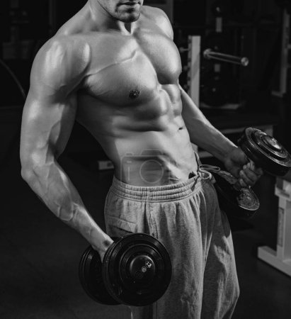 Téléchargez les photos : Athletic men exercise with weights dumbbells. Sporty lifestyle. Gym workouts. Attractive sports - en image libre de droit