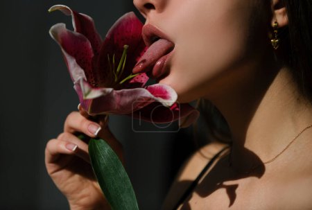Woman lips with day lily Oriental Hybrids, lilium. Sexy woman lick hippeastrum flower
