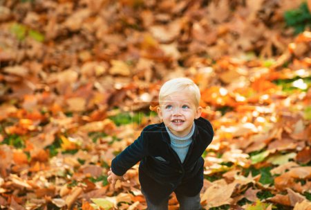Photo for Kids in autumn park on yellow leaf background. Autumn portrait of cute little caucasian boy - Royalty Free Image