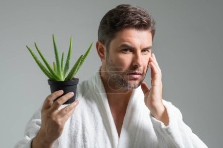 Photo for Middle aged man with aloe vera isolated on studio background. Aloe vera for cosmetics skin mask. Facial mask with aloe vera. Spa, dermatology, wellness and facial treatment concept - Royalty Free Image