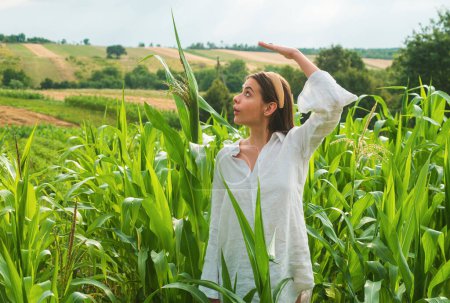 Foto de Cultivo de maíz. Joven agricultor en campo de maíz, concepto de cosecha. Joven chica feliz mostrando maíz cosechado en el campo. Mujer americana en un vestido blanco cosecha maíz - Imagen libre de derechos