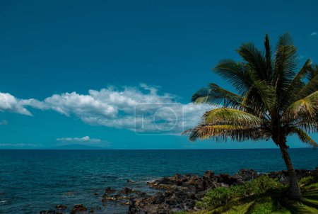 Téléchargez les photos : Belle plage avec palmiers et ciel. Vacances d'été Voyage concept de fond de vacances. Plage paradisiaque hawaïenne. Voyage de luxe vacances d'été fond - en image libre de droit