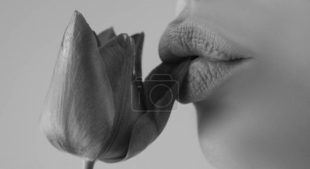 Téléchargez les photos : Des lèvres presque sensuelles. La bouche d'une femme. Rouge à lèvres sexy et dodu - en image libre de droit