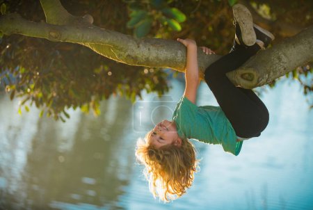 Téléchargez les photos : Joyeux enfant jouant dans le jardin grimpant sur l'arbre. À l'envers. Concept d'enfance - en image libre de droit