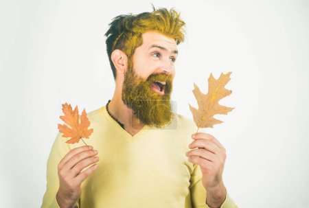 Photo for Happy man playing with leaves on a white background isolated. Fall happy. Background with autumn leaves. Autumn sale. Handsome autumn man on fall background. Autumn time for fashion - Royalty Free Image