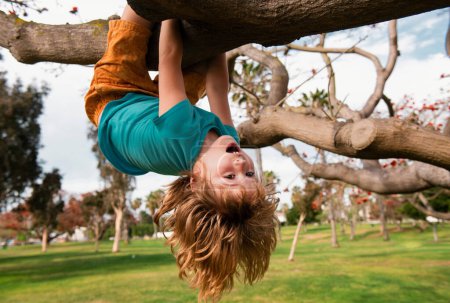 Téléchargez les photos : Mignon garçon blond enfant accroché sur une branche d'arbre. Vacances d'été, petit garçon grimpant à un arbre. À l'envers. Les enfants aiment la nature à la campagne - en image libre de droit