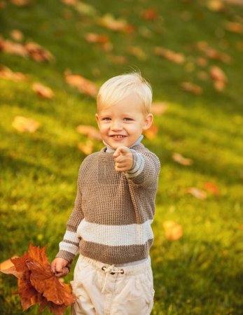 Foto de Lindo niño jugando con hojas de otoño, hoja - Imagen libre de derechos