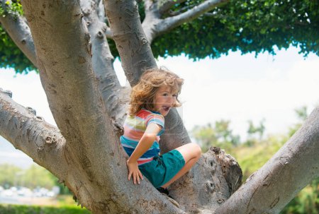 Child boy climbing high tree in the summer park. Portrait of cute kid boy sitting on the tree, climbing a tree. Kid boy playing and climbing a tree and hanging branch