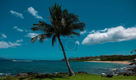 Foto de Playa en Hawaii, Paisaje de ensueño. Paradise Sunny beach con mar turquesa. Vacaciones de verano y concepto de playa tropical - Imagen libre de derechos