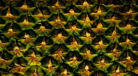 Téléchargez les photos : Pineapple pattern. Pineapple skin close up, tropical pattern with copy space - en image libre de droit
