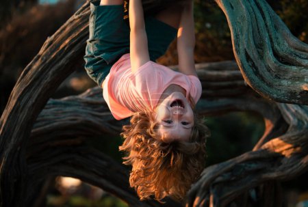 Téléchargez les photos : Petit garçon face au défi en essayant de grimper un arbre à l'envers - en image libre de droit