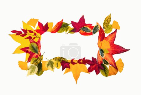 Foto de Autumn sale background with leaves, shopping sale or promo poster and frame banner. Fall leaf border, autumnal background. Autumn maple leaves isolated on white, copy space. Isolated object - Imagen libre de derechos