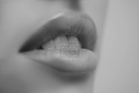 Foto de Labios de cerca. Labio de maquillaje sexy. Concepto de ortodoncia y odontología - Imagen libre de derechos